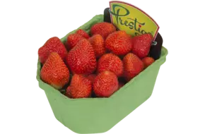 Aardbeien Prestige 500gr